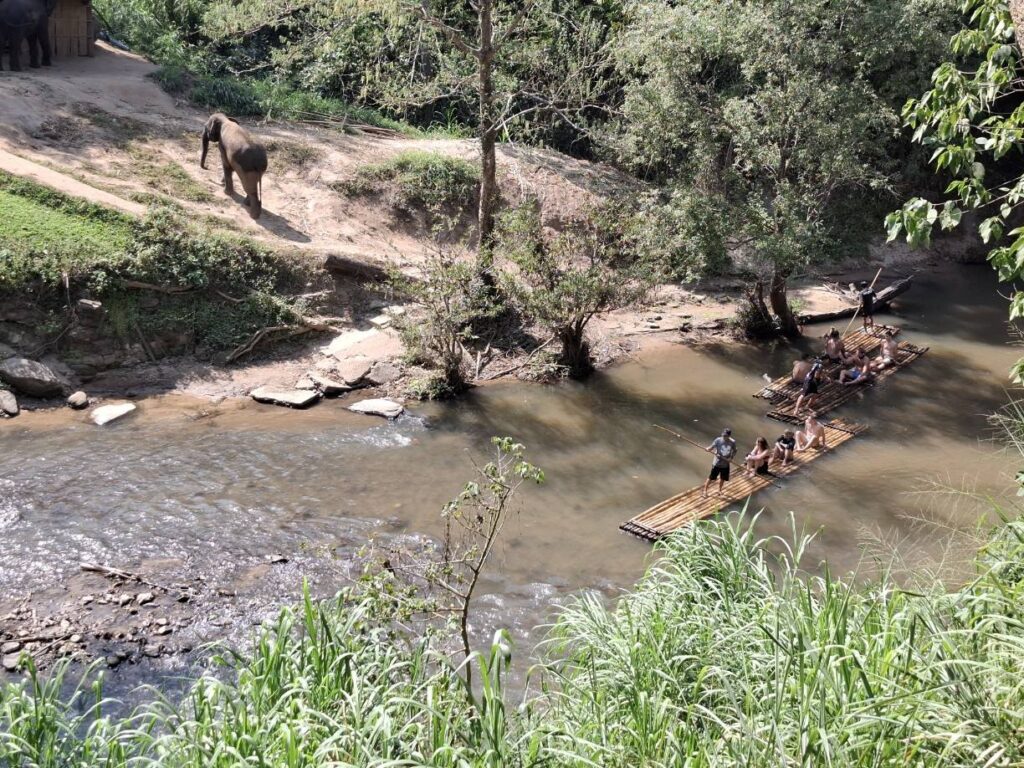 tourists rafting along the river